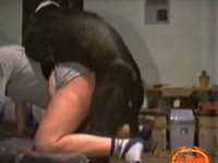 Big ass bitch got wrecked with dog dick